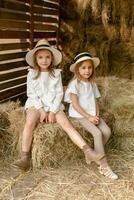 Smiling little girls posing in hayloft during summer vacation in village photo