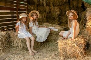 Little girls friends spending time together in hayloft on summer day photo