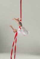 Athletic man in a white sport suit is performing an acrobatic elements in a studio. photo