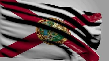 Flag Of florida video