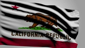 Flag Of california video