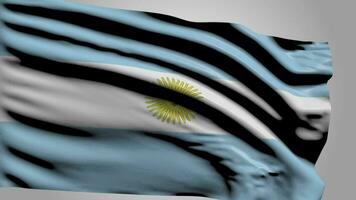 bandera de argentina video