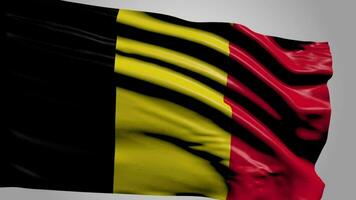 Belgiens flagga video