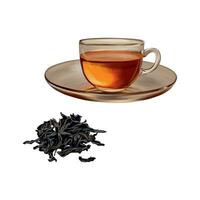 Cup of tea, dried tea leaves. Vector illustration in graphic style. Design element for cards, invitations, spring banners, packaging, covers, labels, flyers.