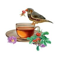 Cup of tea, rose hips, berries, flower, bird. Vector illustration in graphic style. Design element for cards, invitations, spring banners, packaging, covers, labels, flyers.
