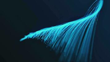 liquide Animé briller particules, une proche en haut de une plume avec brillant couleurs video