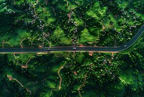 AI generated aerial view of a road through an evergreen forest photo