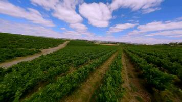 volante al di sopra di un' campo nel Australia, su un' soleggiato giorno. video