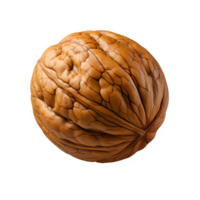 AI generated Walnut isolated on transparent background ,generative ai png