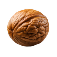 AI generated Walnut isolated on transparent background ,generative ai png
