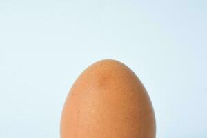 Isolated Chicken Single Chicken egg on white background photo