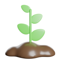 brote planta ecología png