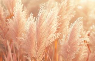 AI generated a close up of barefoot grass in front of a sunny day, photo