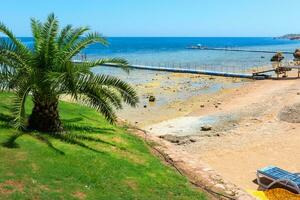 Red Sea beach photo