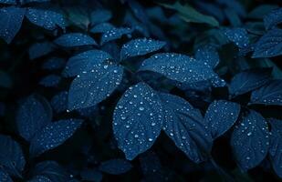 ai generado oscuro azul planta con agua gotas en eso foto