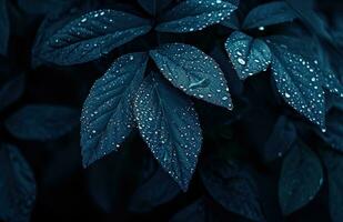 AI generated dark blue plant with water drops on it photo