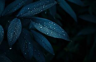 AI generated dark blue plant with water drops on it photo