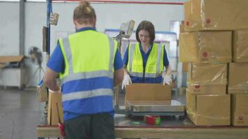 entrepôt ouvrier pliant papier boîte pour emballage le articles dans une grand entrepôt. homme scellage papier carton des boites pour livraison dans cargaison produit action. video