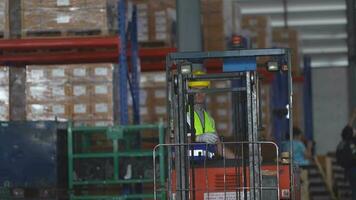 fabbrica uomo guida carrello elevatore a forca auto Lavorando nel distribuzione magazzino. fabbrica lavoratore compagni di squadra Lavorando accanto pile di carico. gruppo di diversità ingegnere fabbrica persone incontro. video