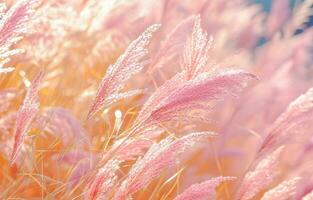 AI generated in close up shot of the pink grasses photo