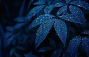 ai generado oscuro azul planta con agua gotas en eso foto