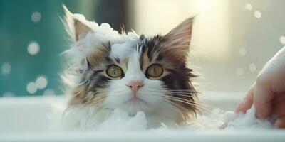 AI generated a cat being bathed with soap photo