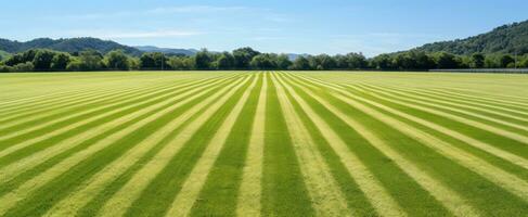 AI generated green soccer field with sun shining through on yellow grass photo