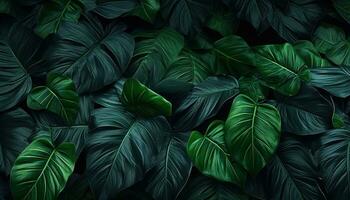 ai generado verde tropical hojas en negro antecedentes con oscuro antecedentes foto