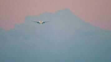 Wide body airliner is flying, landing down video