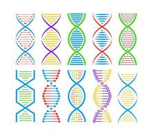 DNA structure Icon set. Structure molecule and cell, chromosome. Genetic engineering. Vector stock illustration