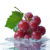 AI generated grapes with water splash, transparency background png