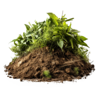 AI generated Grassy dirt heap isolated on transparent background png