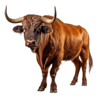 AI generated Bull with horns isolated on transparent background png