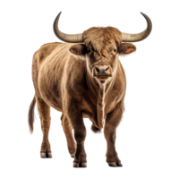 AI generated Bull with horns isolated on transparent background png