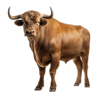 AI generated Bull with horns isolated on transparent background png