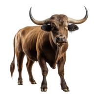 AI generated Bull with horns isolated on transparent background png