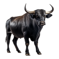 AI generated Bull with horns isolated on transparent background png