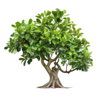 AI generated Green tree isolated on transparent background png