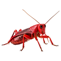 AI generated 3d grasshopper isolated on transparent background png