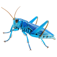 ai generado 3d saltamontes aislado en transparente antecedentes png