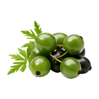 AI generated Neem fruit isolated on transparent background png