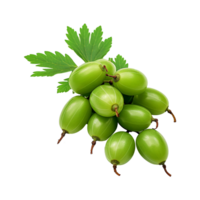 AI generated Neem fruit isolated on transparent background png