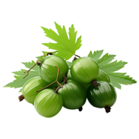 AI generated Neem fruit isolated on transparent background png