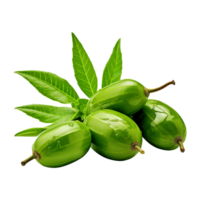 AI generated Neem fruit isolated on transparent background png