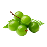 AI generated Neem fruit isolated on transparent background png