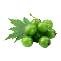 ai gegenereerd neem fruit geïsoleerd Aan transparant achtergrond PNG