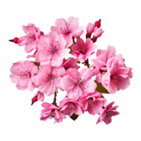 AI generated Cherry blossom flower png isolated on transparent background png