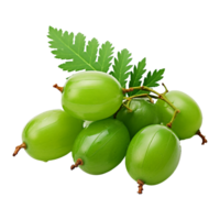 AI generated Neem fruit isolated on transparent background png