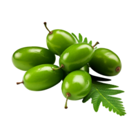 AI generated Neem fruit isolated on transparent background png