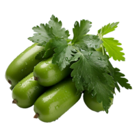 AI generated Neem fruit isolated on transparent background png